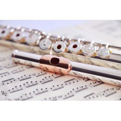 دوره ی فلوت کلیدار